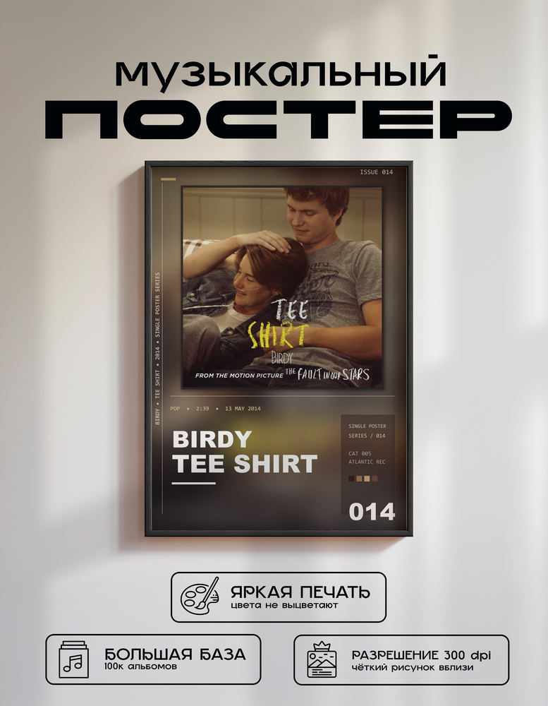 Music poster: Birdy - Tee Shirt