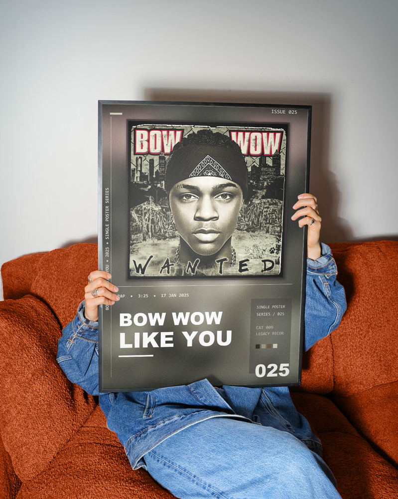 Music poster: Bow Wow - Like You
