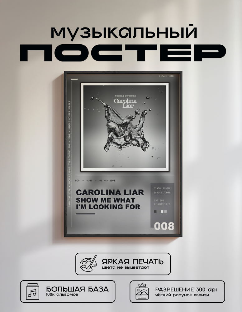 Music poster: Carolina Liar - Show Me What Im Looking For