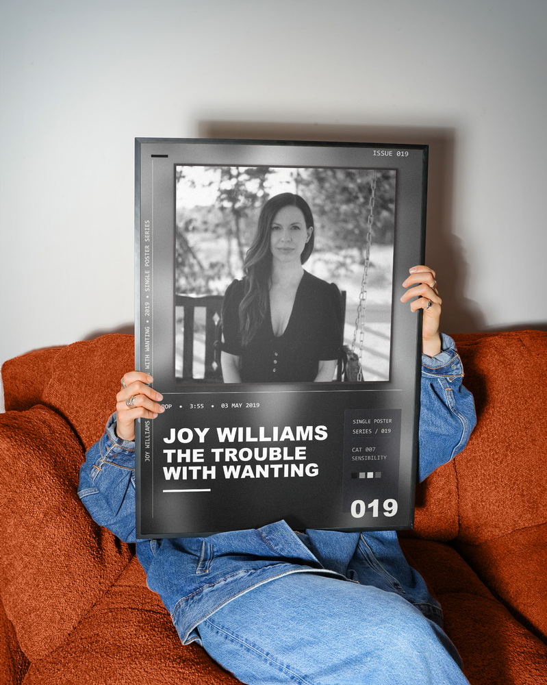 Music poster: Joy Williams - The Trouble with Wanting