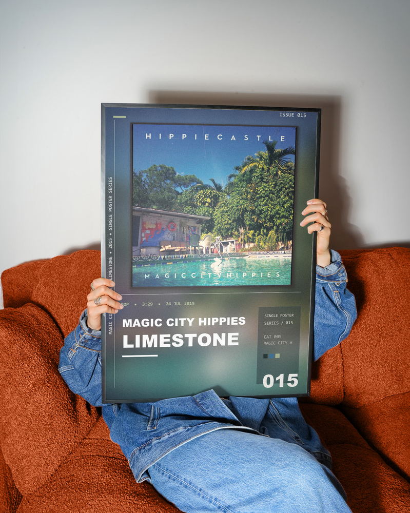 Music poster: Magic City Hippies - Limestone
