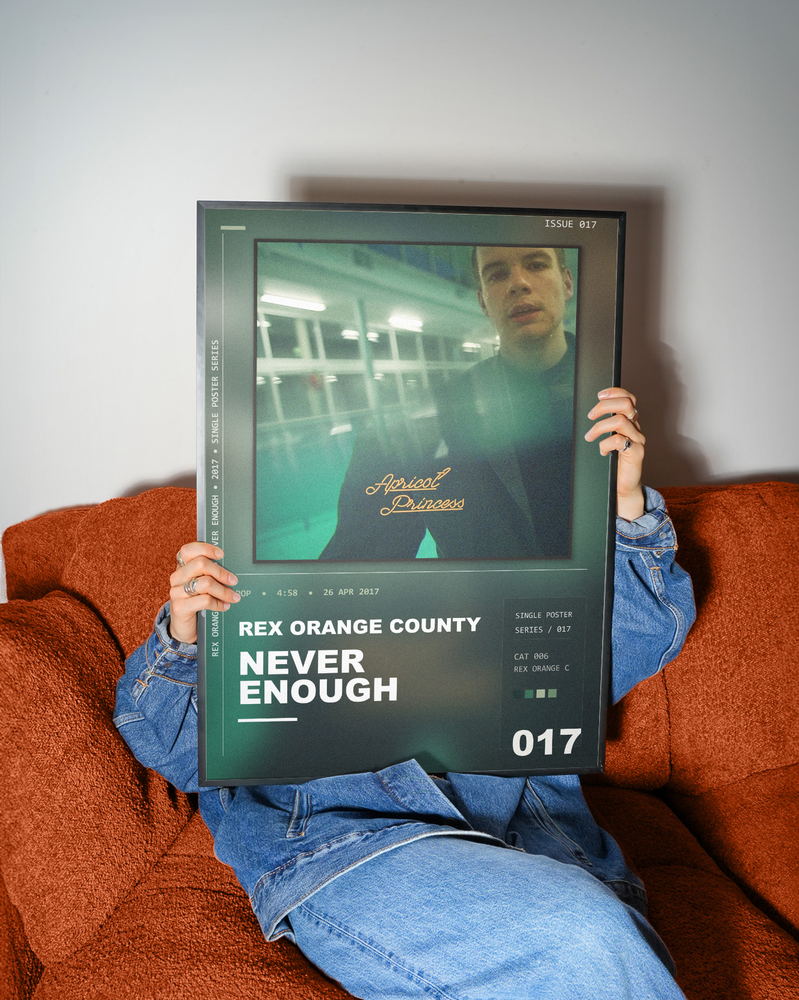 Music poster: Rex Orange County - Never Enough