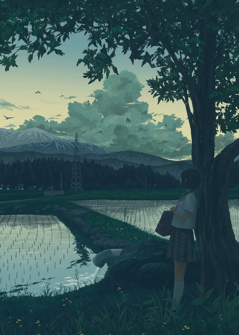 Girl in school uniform by rice paddies