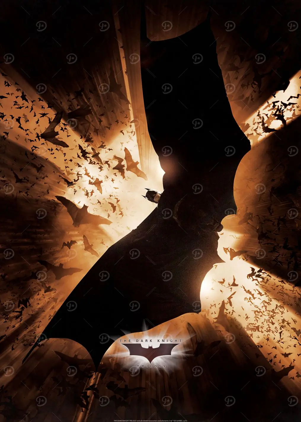 Batman Begins Movie Art 5