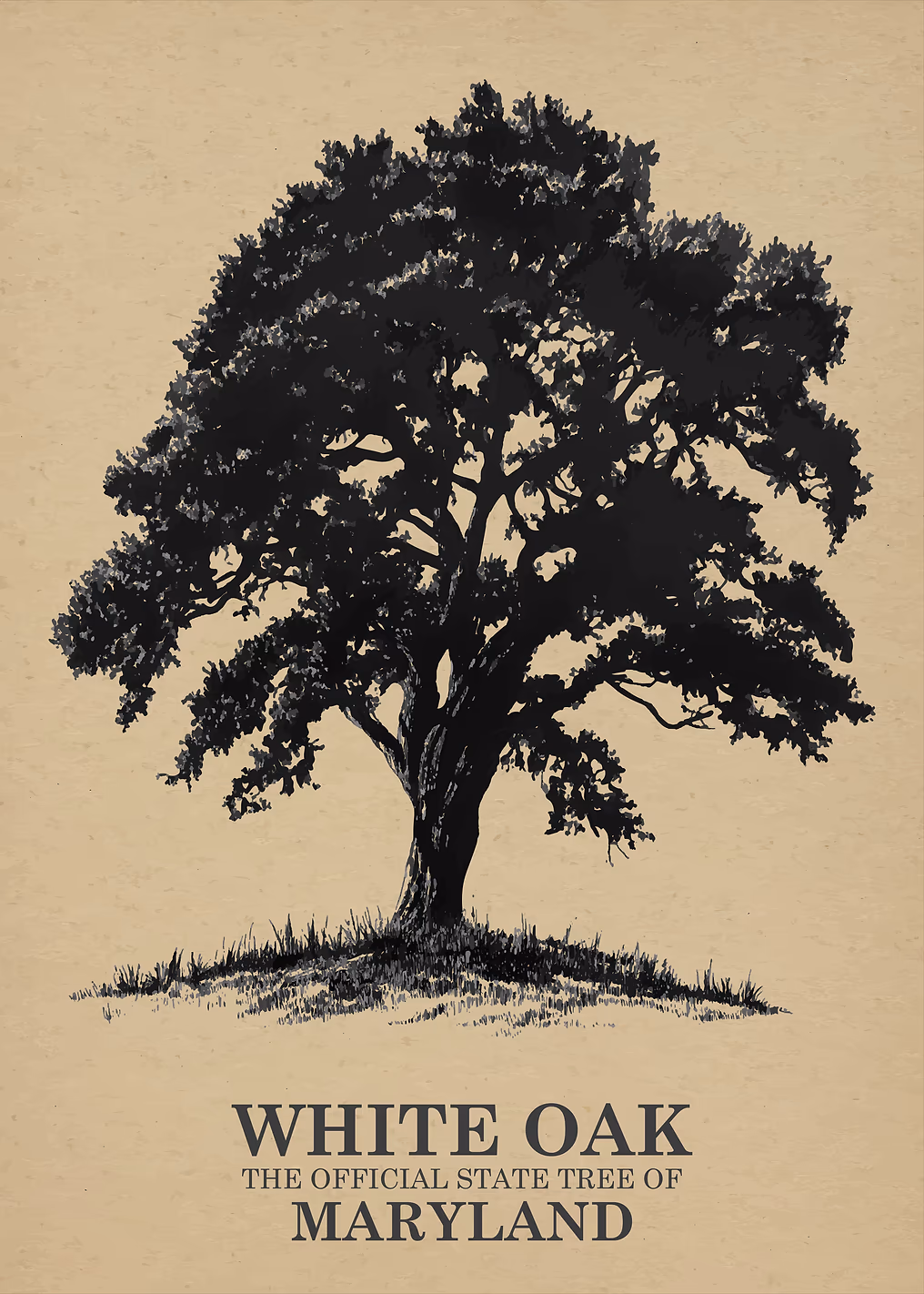 White Oak State Tree of Maryland