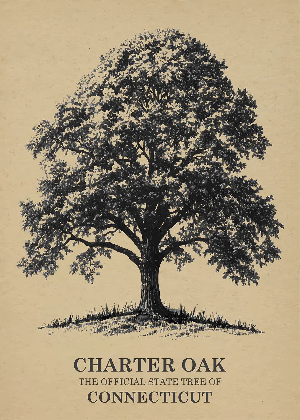 Charter Oak Connecticut State Tree