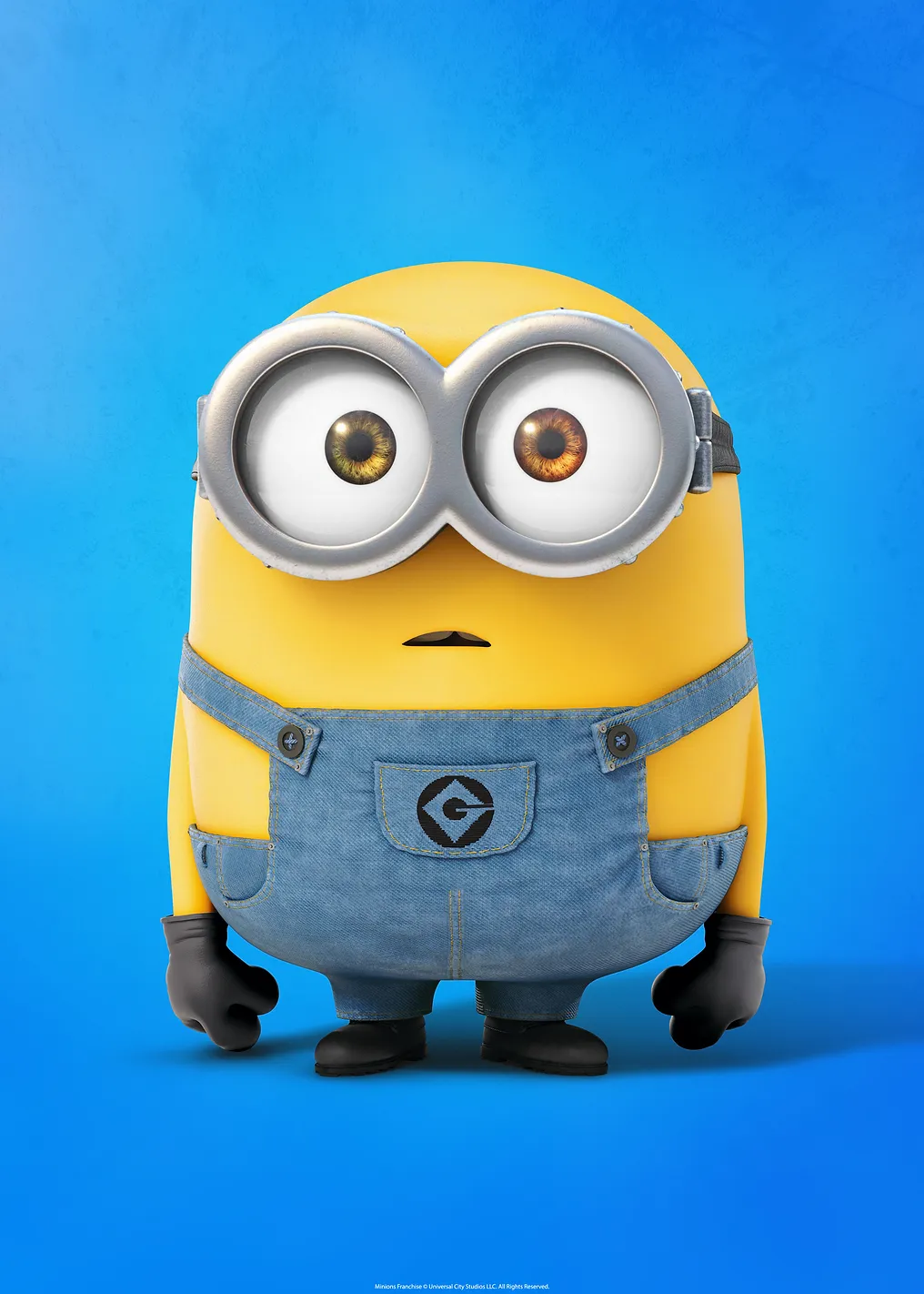 Confused Bob