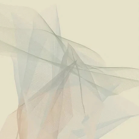 'Brighter Days Series'- Muted Enigma