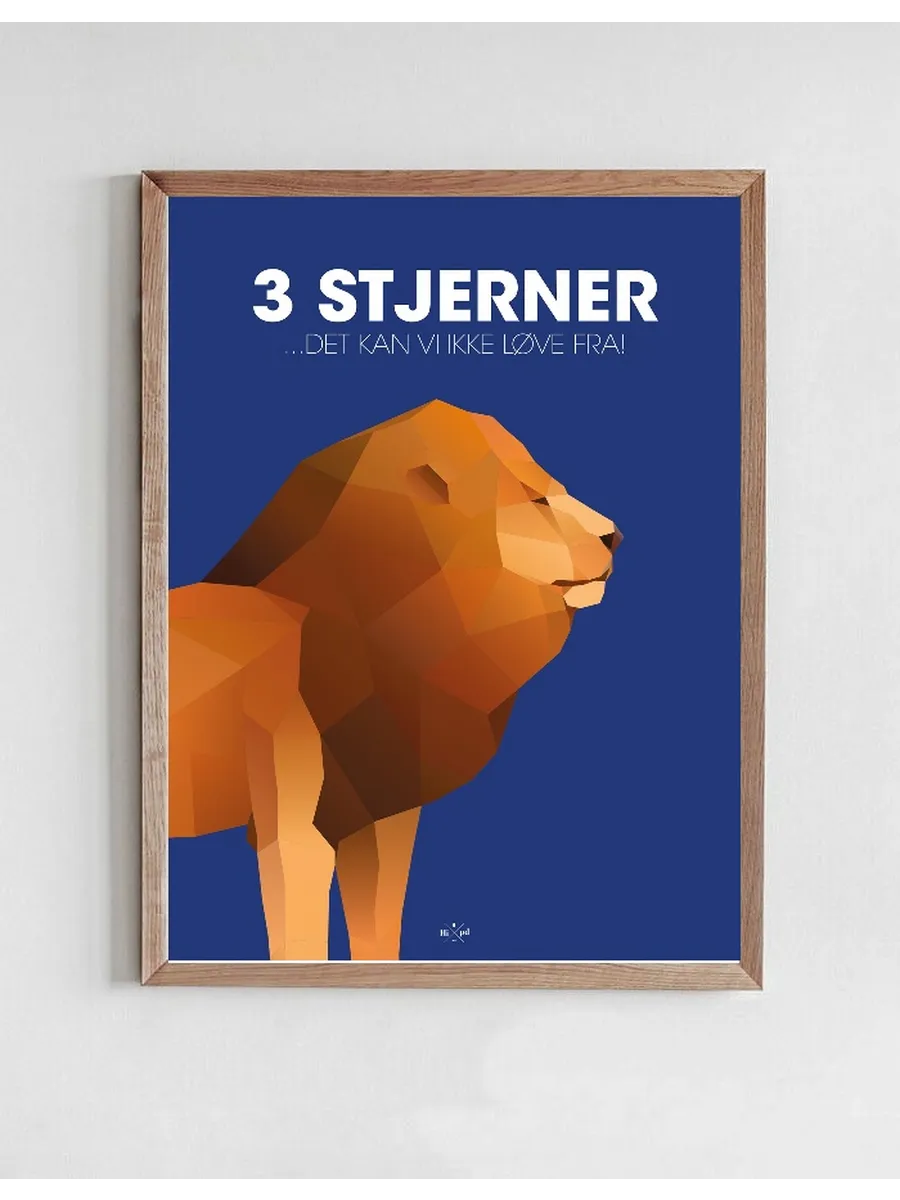 Stjerner - Det Kan VI Ikke L Ve Fra