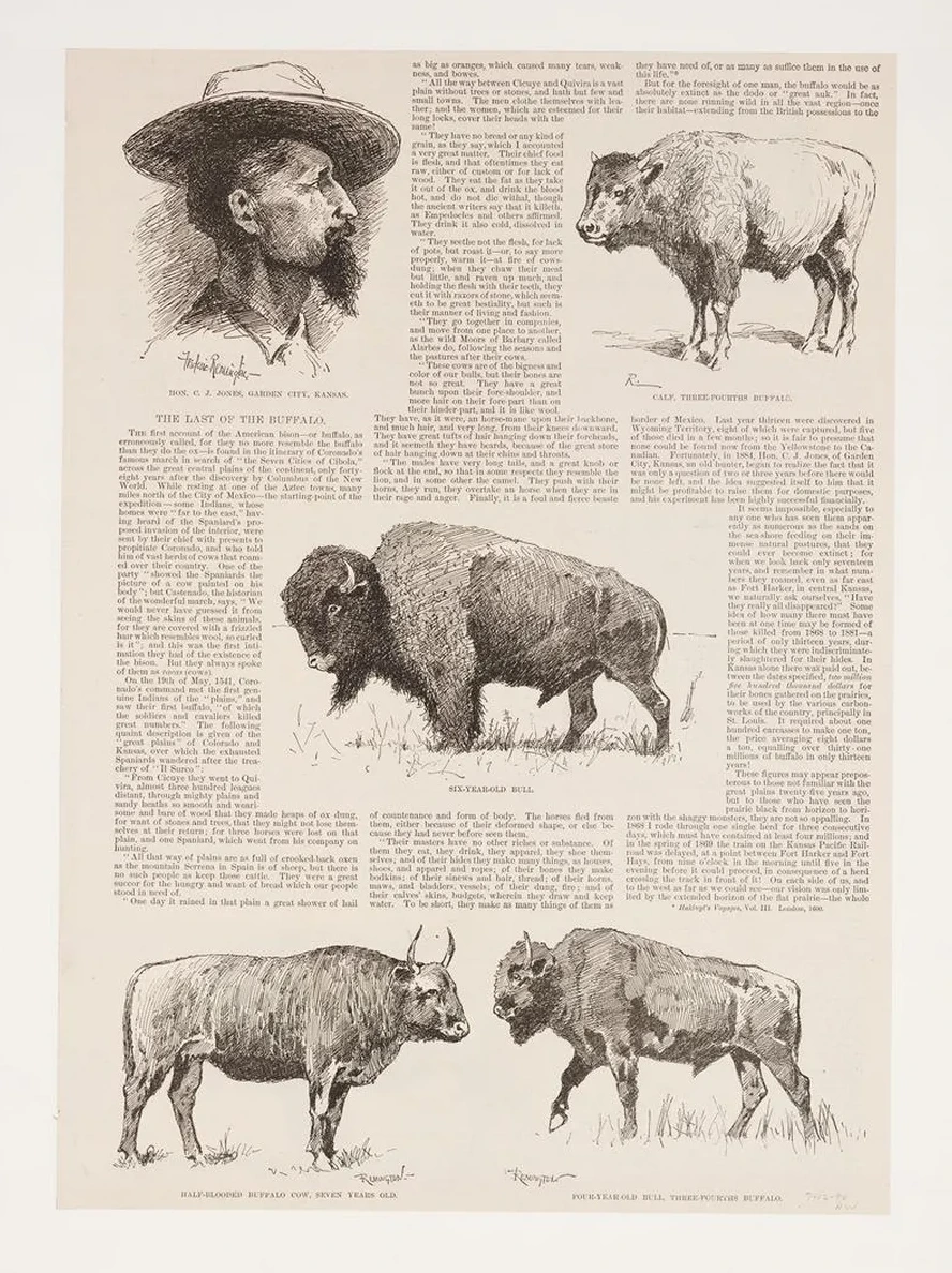 drawings of American buffalo and portrait of Ho.N.C.J. Jones, Garden City, Kansas
