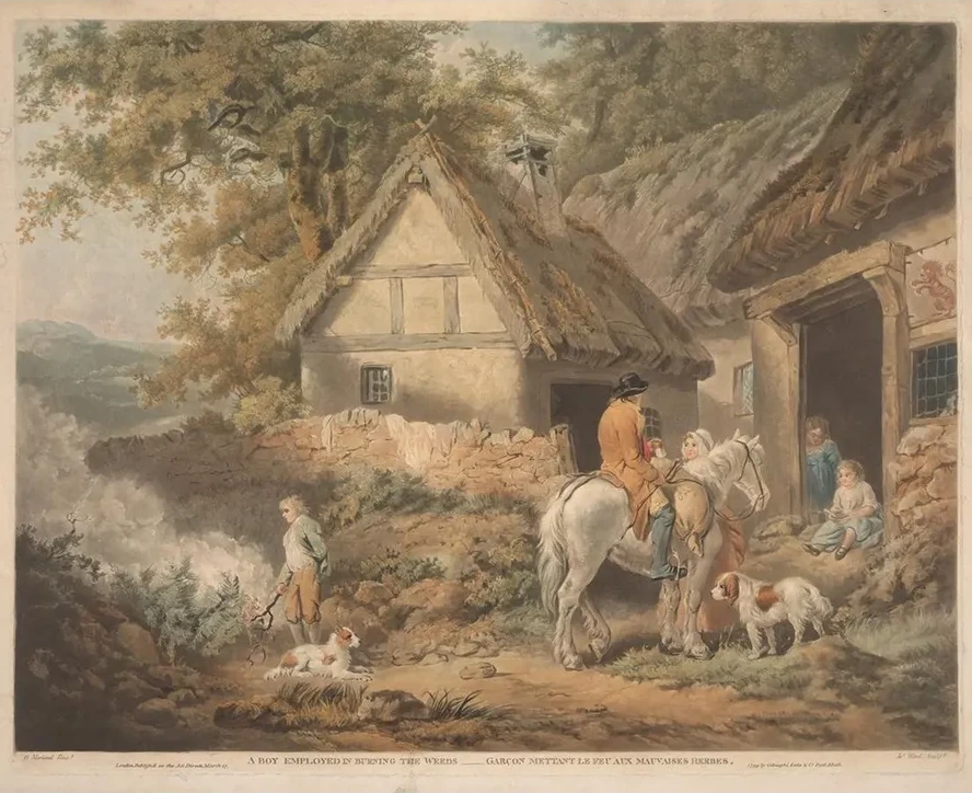 A Boy Employed in Burning Weeds