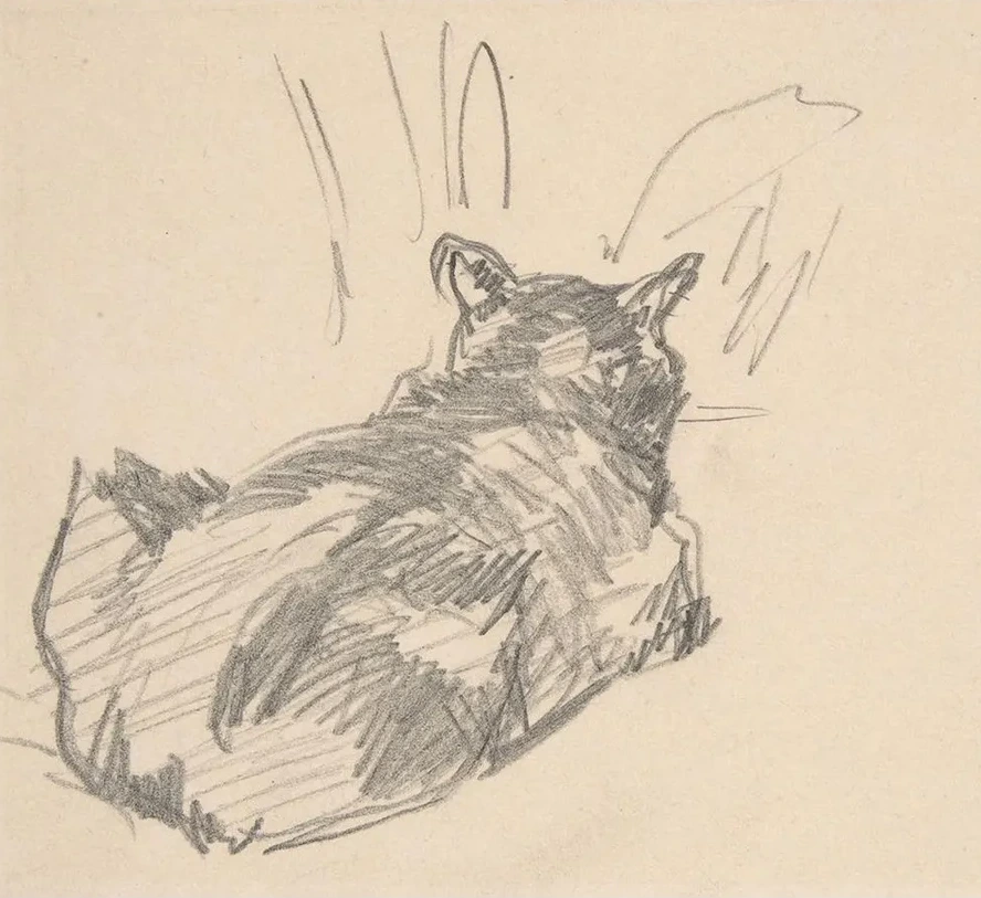 A Cat Resting on All Fours, Seen from Behind