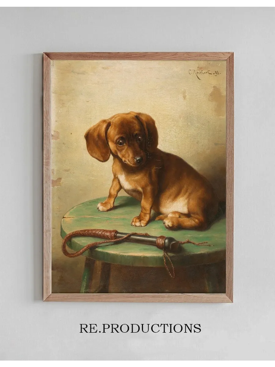 A Dachshund Puppy