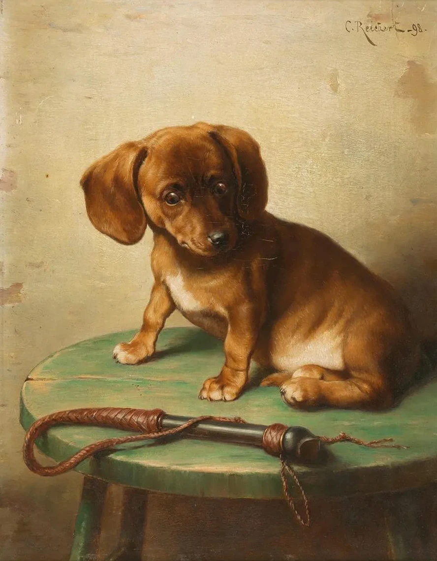 A Dachshund Puppy