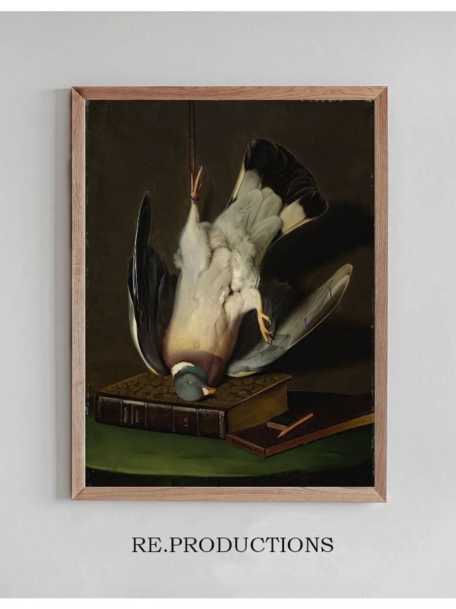 A Dead Wood Pigeon