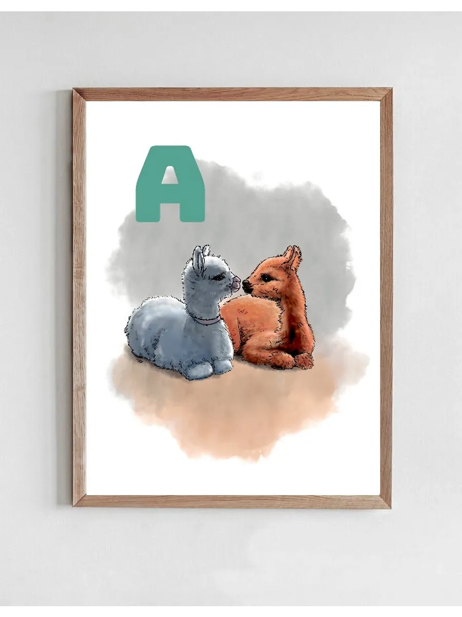 A GREY Alpaca