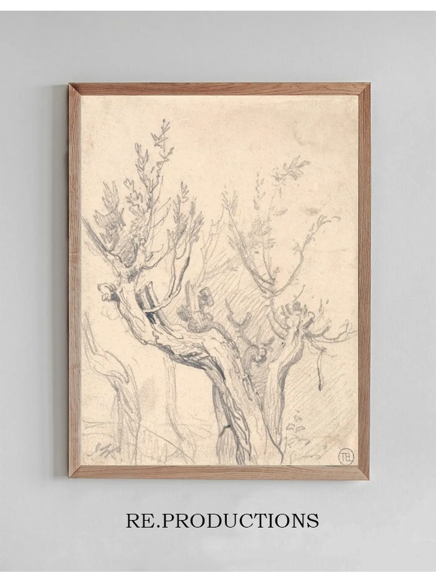 A Gnarled Tree
