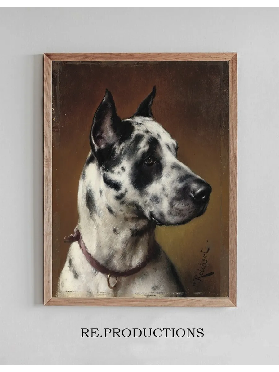 A Great Dane