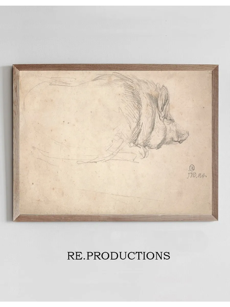 A Hog, Sleeping