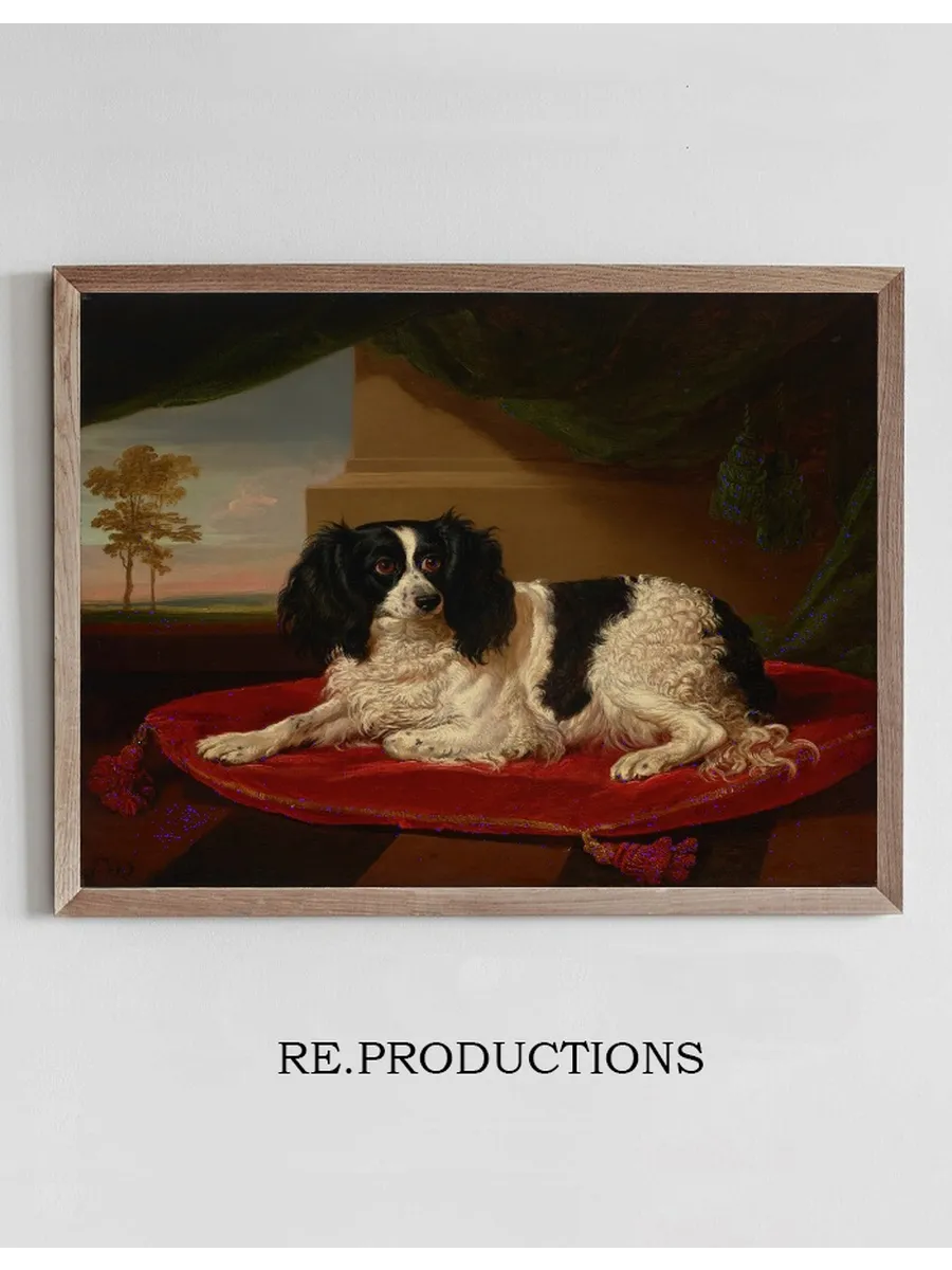 A King Charles Spaniel on a Red Cushion