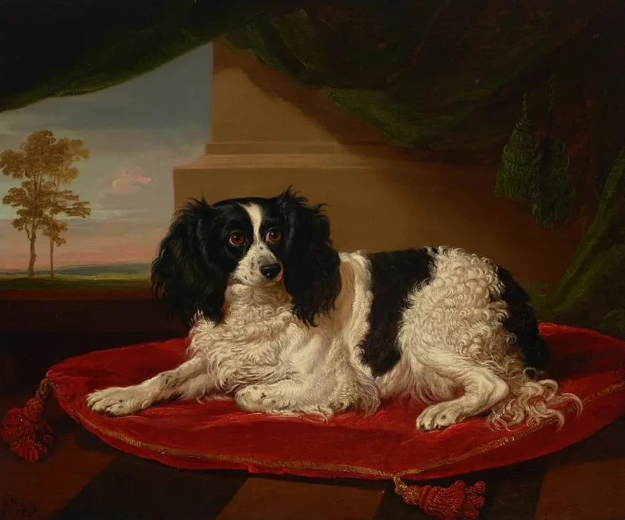 A King Charles Spaniel on a Red Cushion