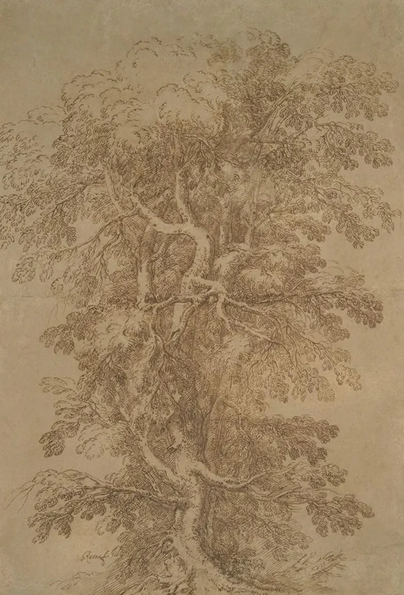 A Large Tree