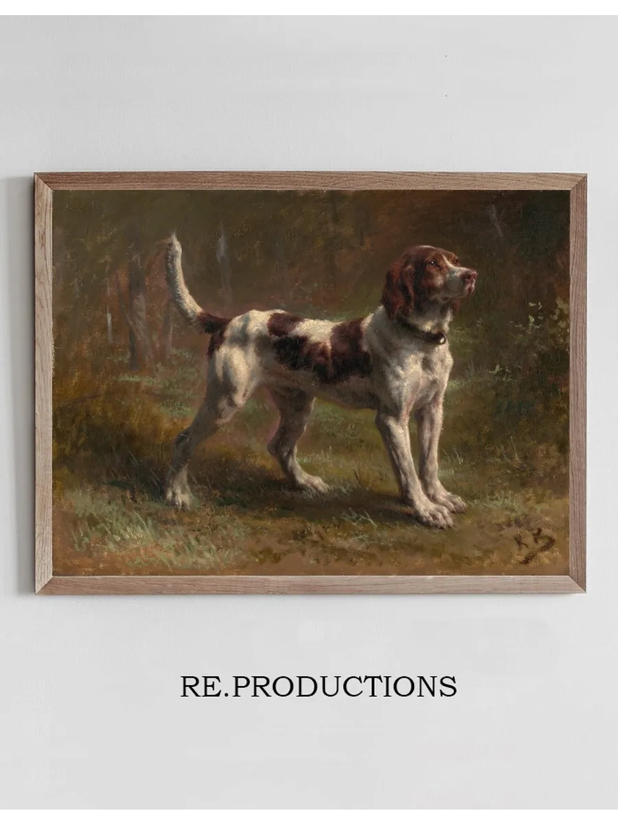 A Limier Briquet Hound