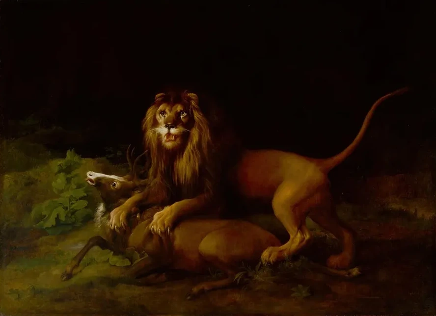 A Lion Attacking a Stag