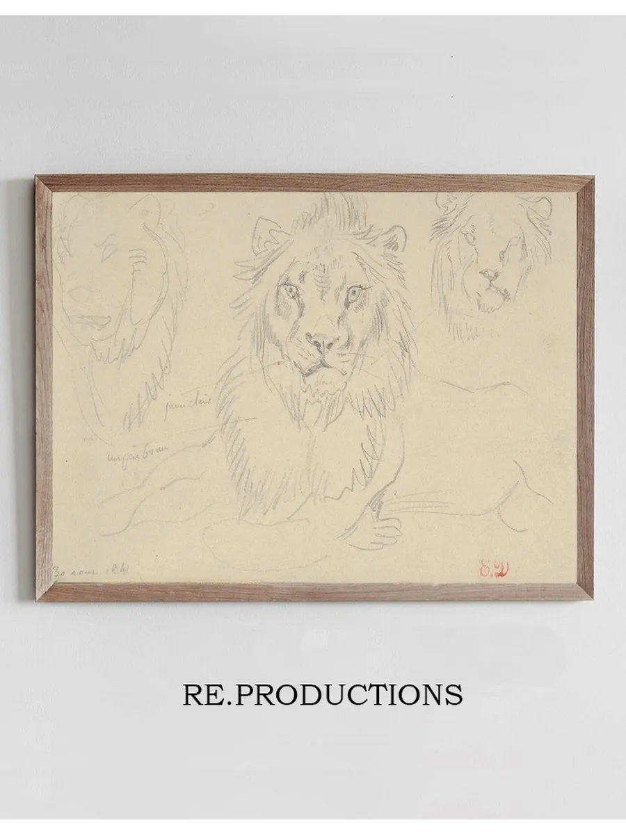 A Lion, Full Face