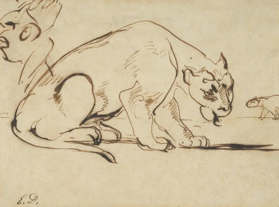 A Lioness and a Caricature of Ingres