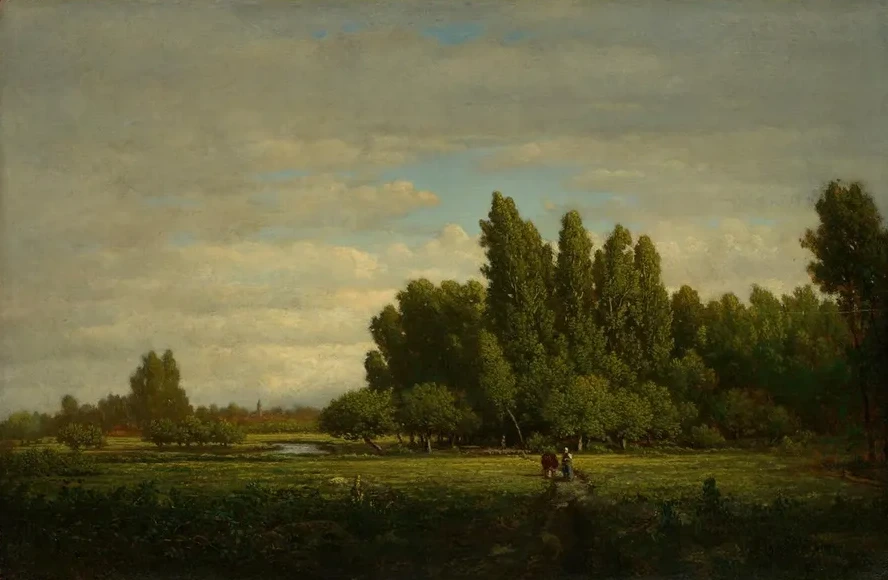 A Meadow Bordered by Trees