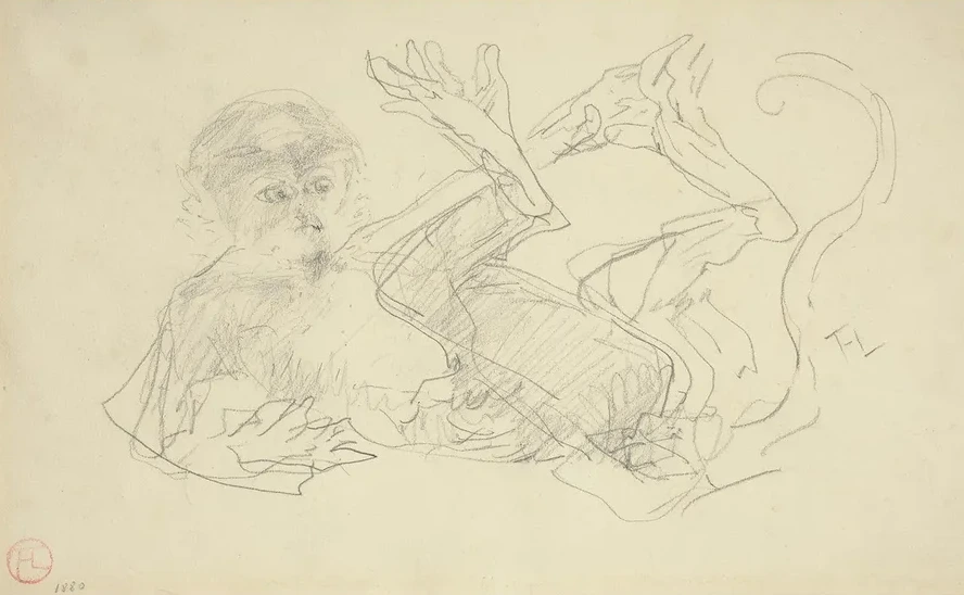 A Monkey Playing on His Back