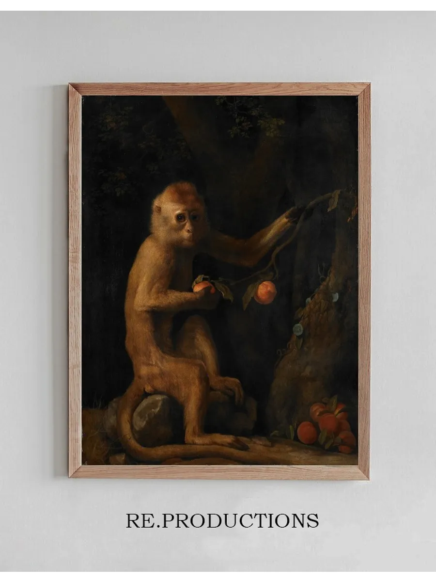 A Monkey