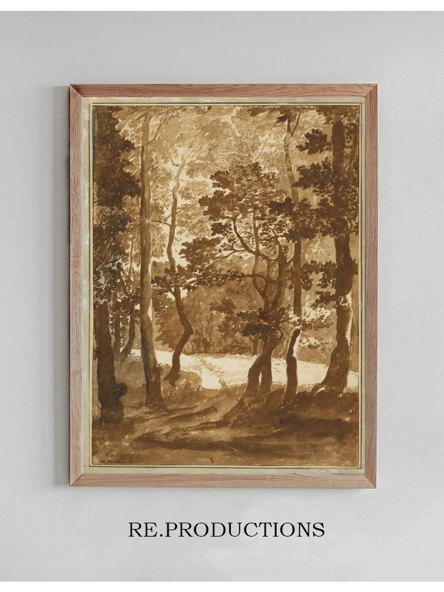 A Path Leading into a Forest Clearing