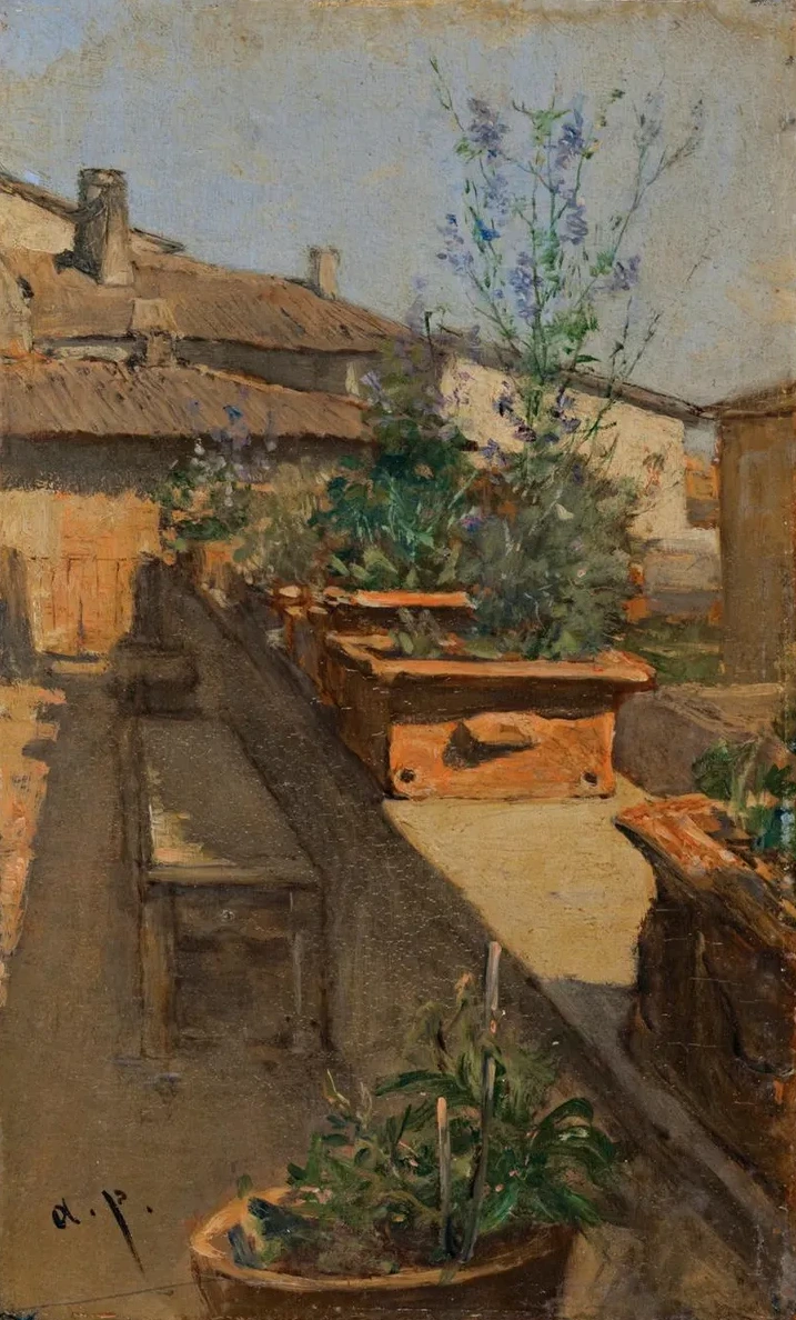 A Roof Garden