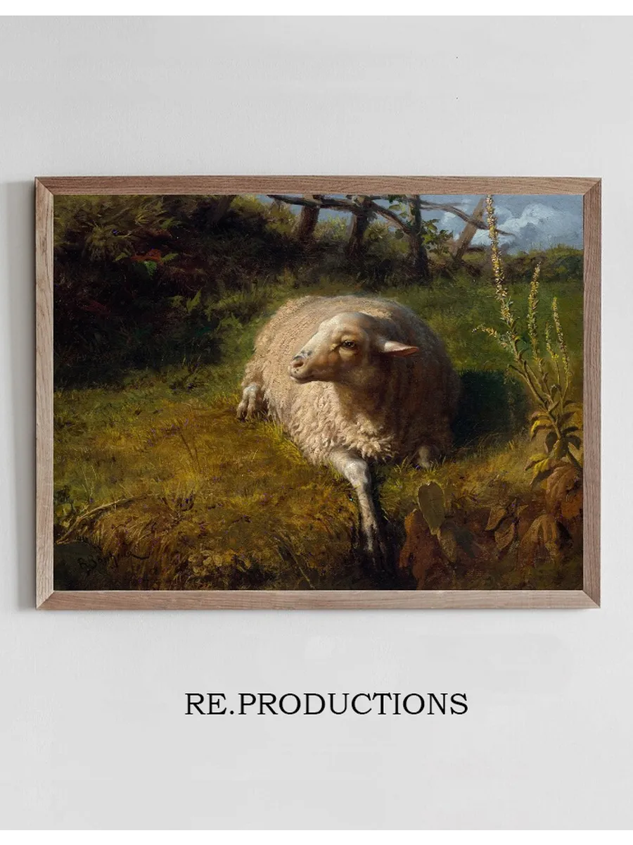 A Sheep at Rest