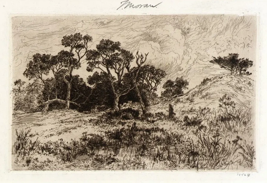 A Southerly Wind