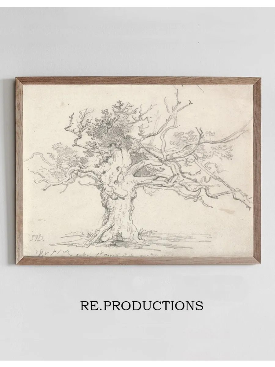 A Stunted Oak