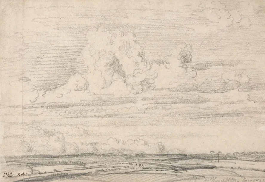A View near Hamilton