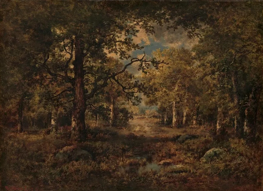 A Vista through Trees Fontainebleau