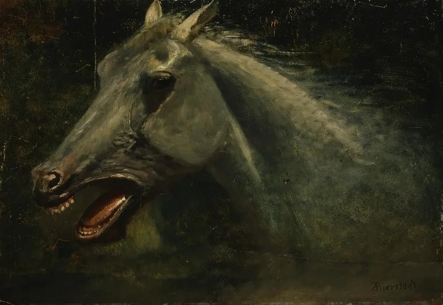 A Wild Stallion (an Original Oil Sketch for the Last of the Buffalo)