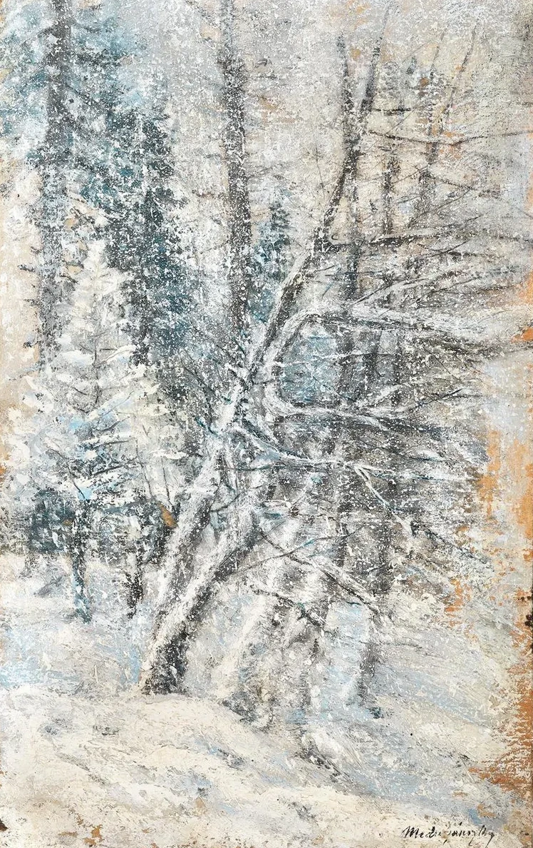 A Wintry Forest