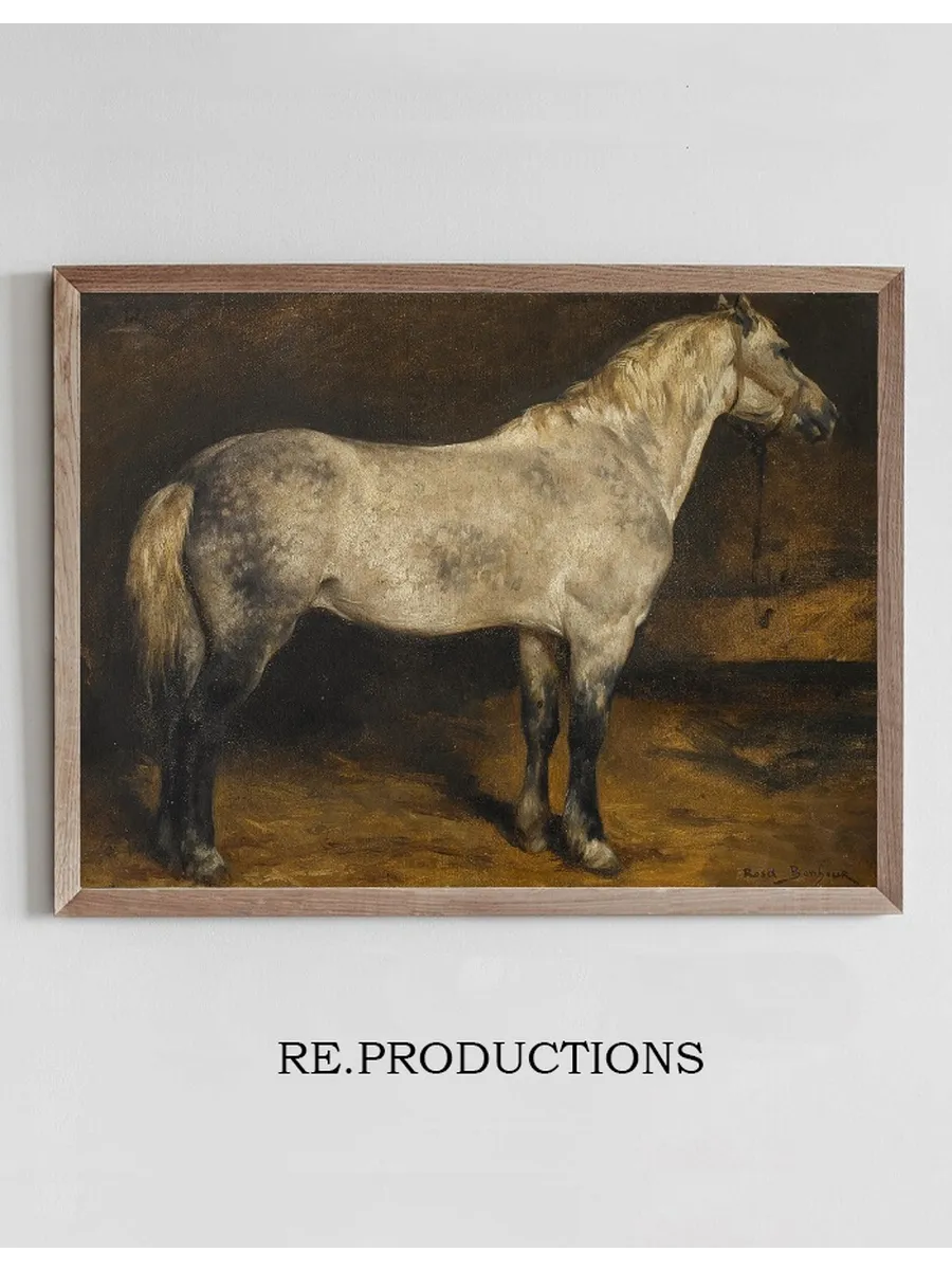 A Dapple Grey Horse