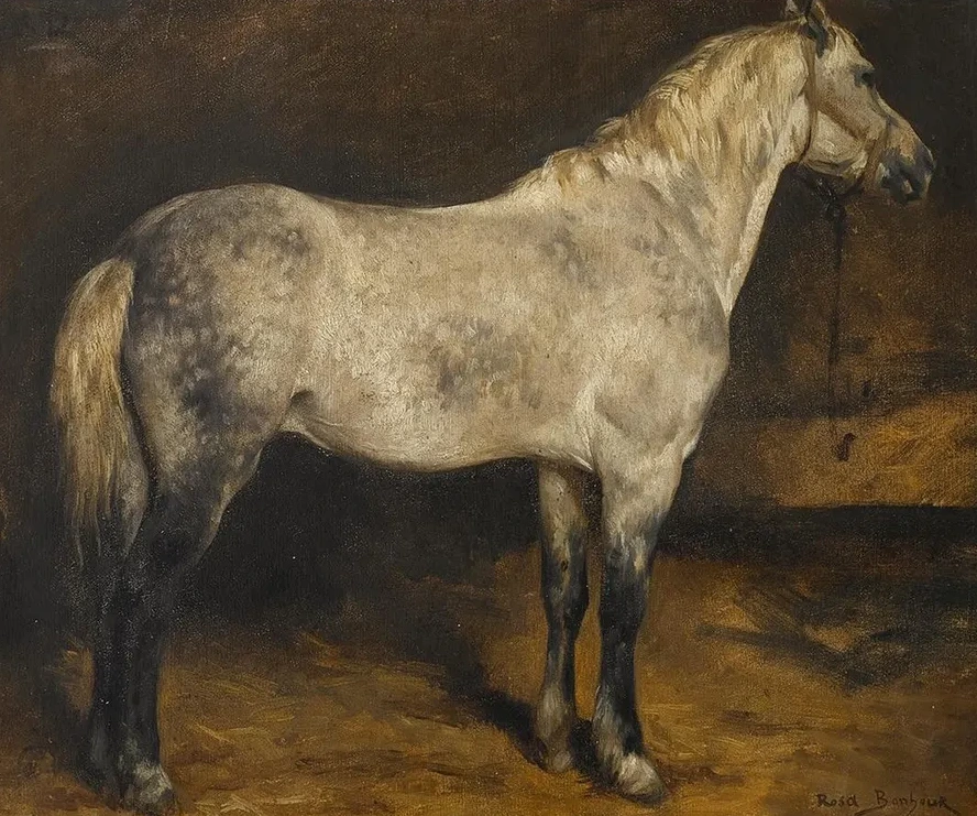 A Dapple Grey Horse