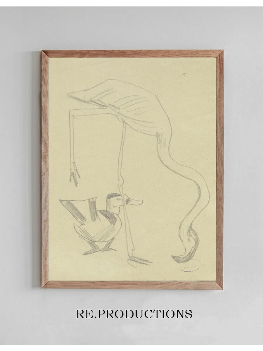 A Flamingo and a Duck