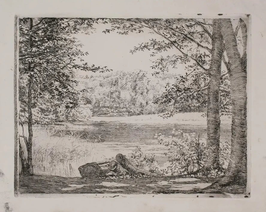 A Forest Lake Near Helleb K
