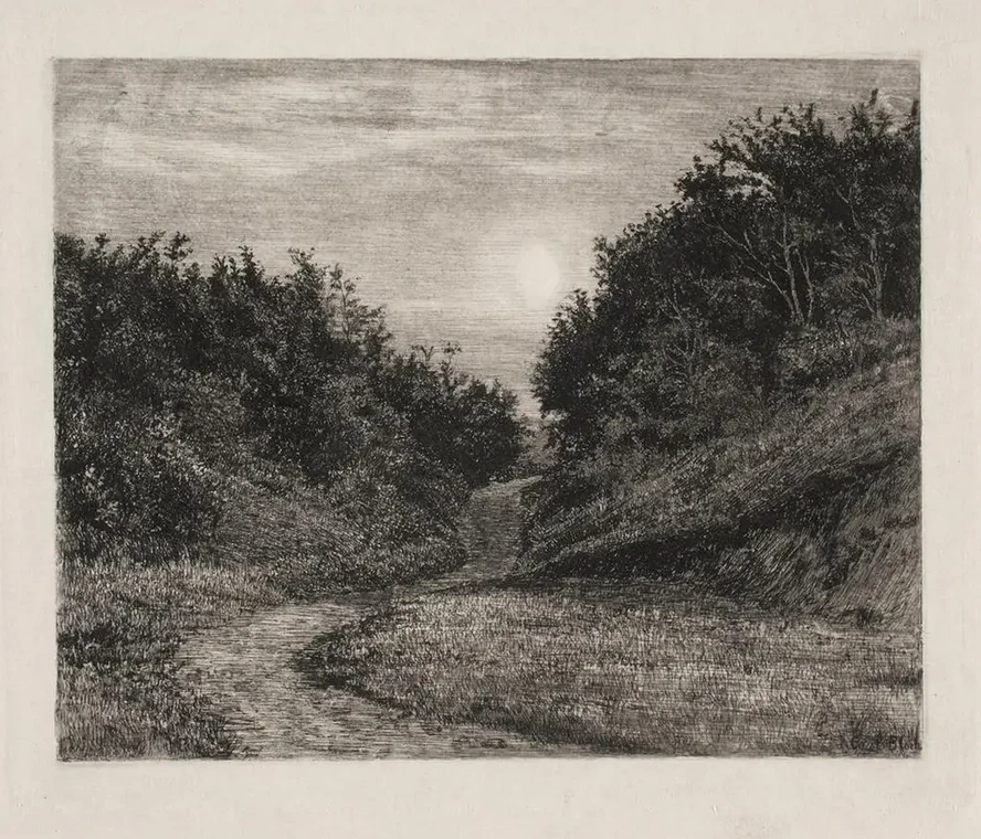 A Moonlit Summer Evening