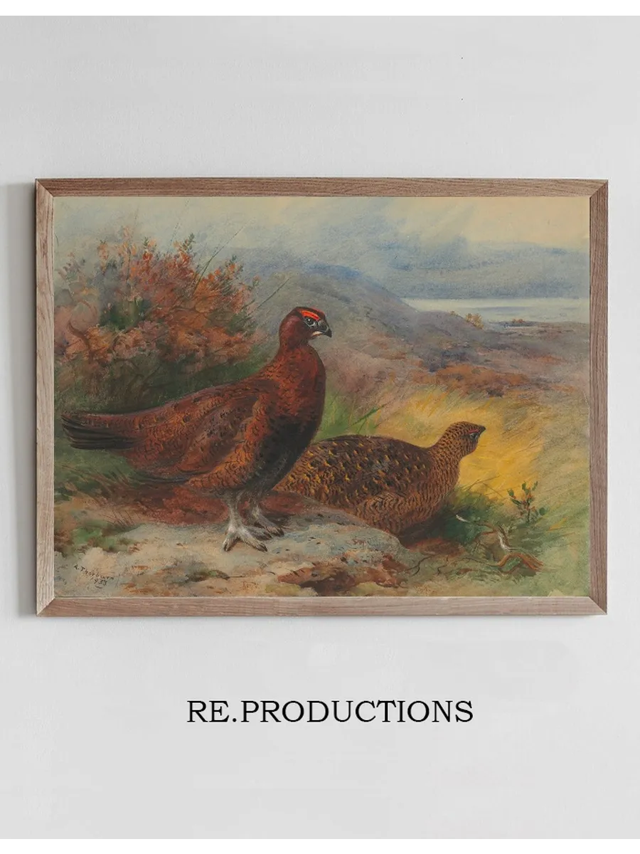 A Pair of Red Grouse in a Landscape