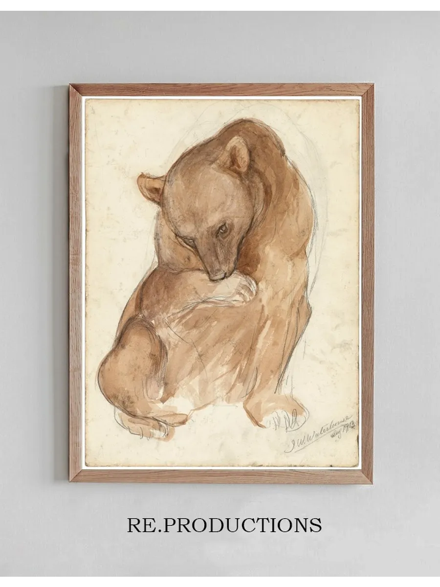 A Sketch of a Bear