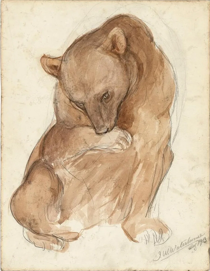 A Sketch of a Bear